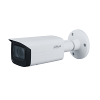 IPC-HFW1431T-ZS-S4 (1)