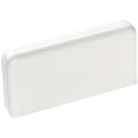 Заглушка торцевая для кабельного канала 40х20 (SPL)