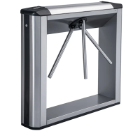 Новый рисунок