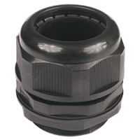 сальник сальник