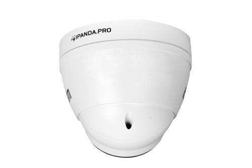 iCAM DarkMaster FXD1X 2 Мп 3