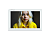 iCall-10SDWF-1080P-White-front