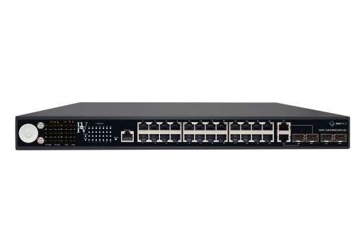 SWC-GE4804.sfp