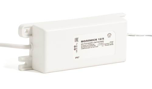 Моллюск 12/5 (871)